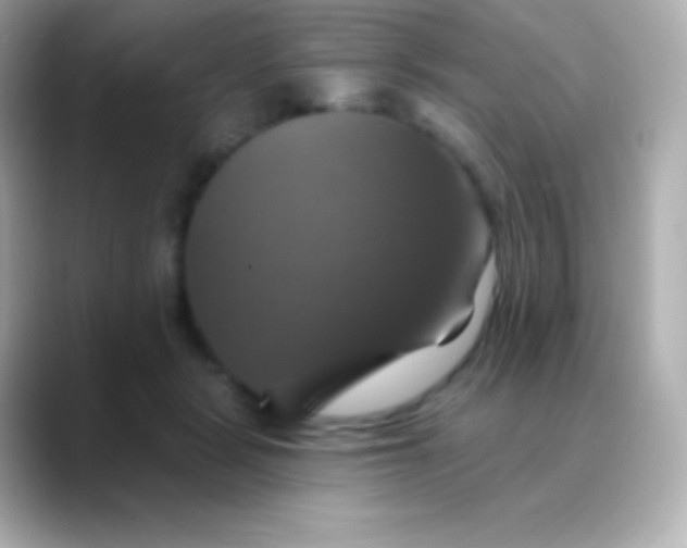 X0000088470461200706051345