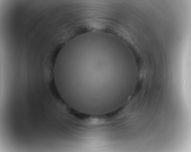 X0000088470464200706051345