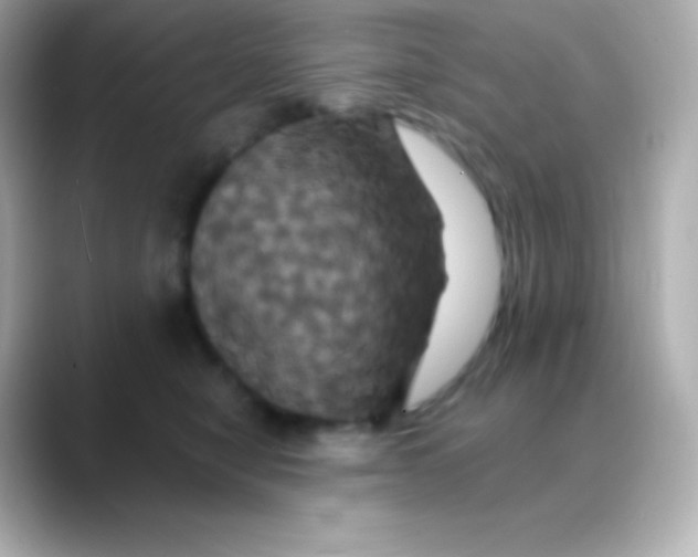 X0000088470470200706051346