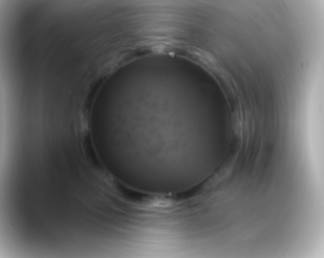 X0000088470471200706051346