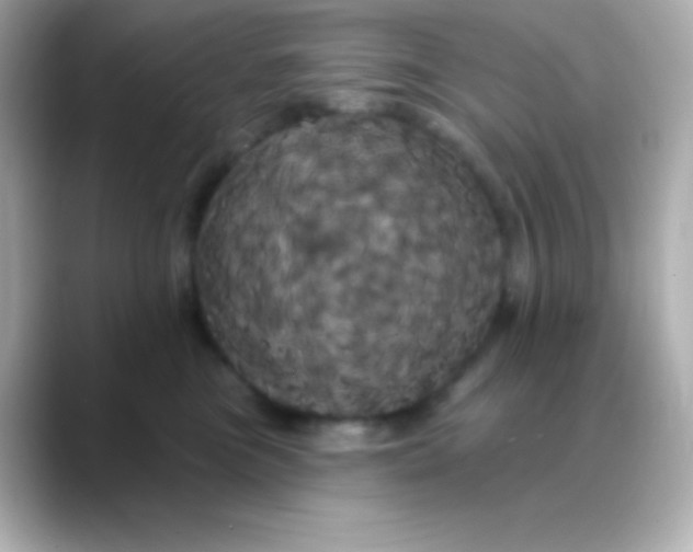 X0000088470473200706051346