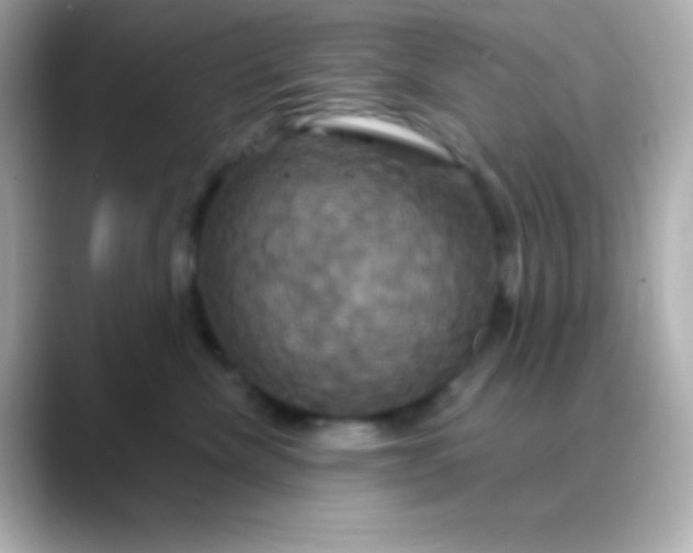 X0000088470476200706051346