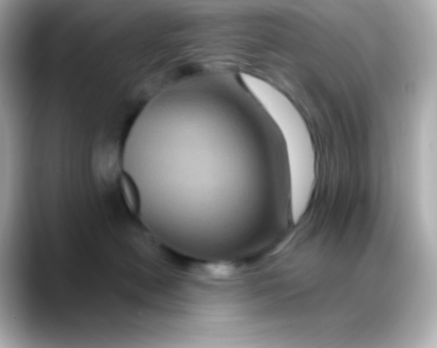 X0000088470478200706051346