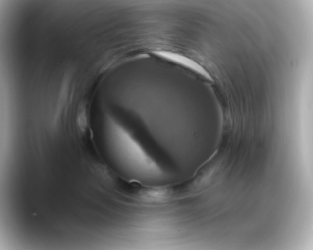 X0000088470479200706051346