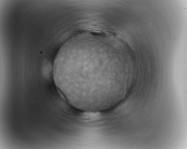 X0000088470480200706051346