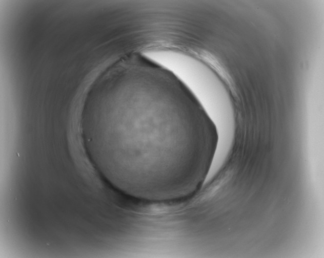 X0000088470481200706051345