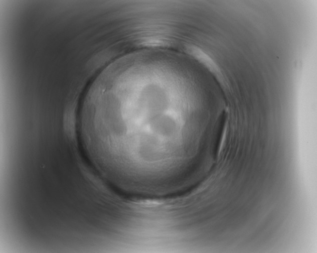 X0000088470482200706051345