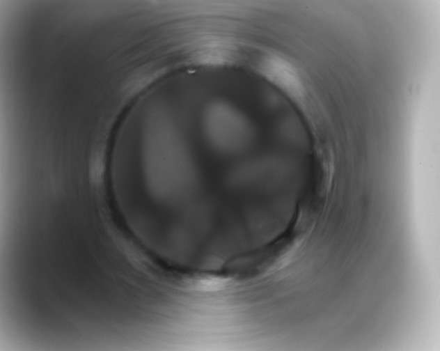 X0000088470483200706051345