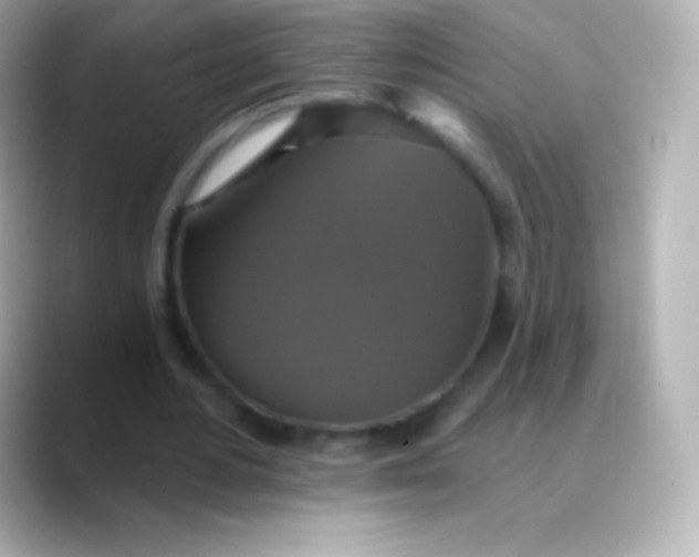 X0000088470484200706051345