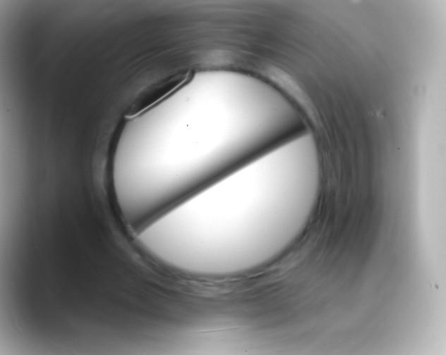 X0000088470485200706051345