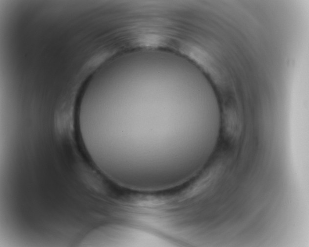 X0000088470486200706051345