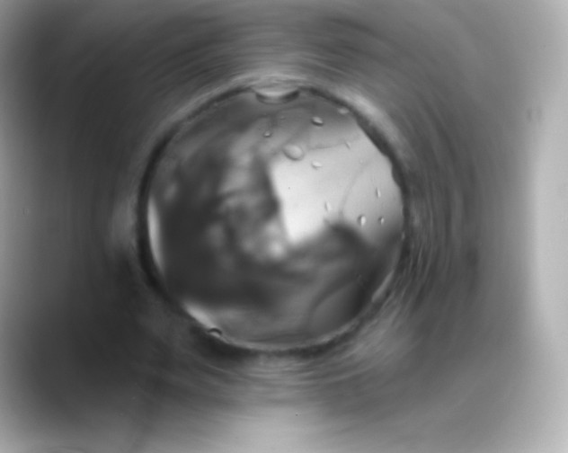 X0000088470487200706051345