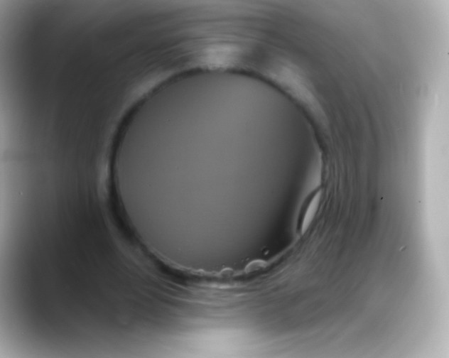 X0000088470488200706051345