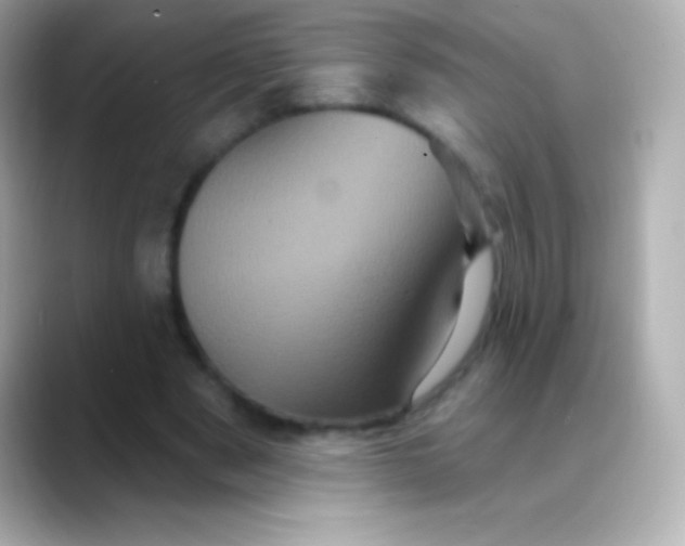 X0000088470489200706051345