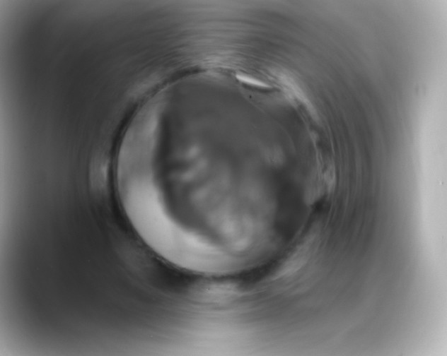 X0000088470491200706051345