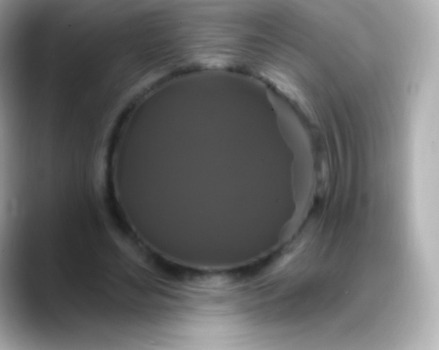 X0000088470492200706051345