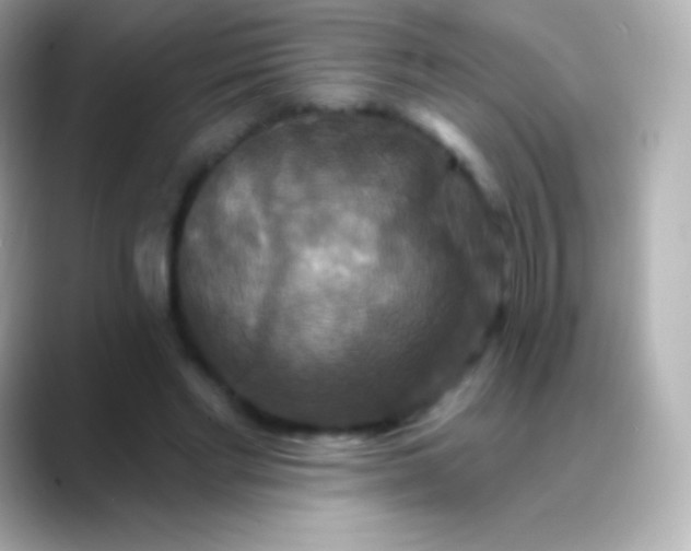 X0000088470493200706051345