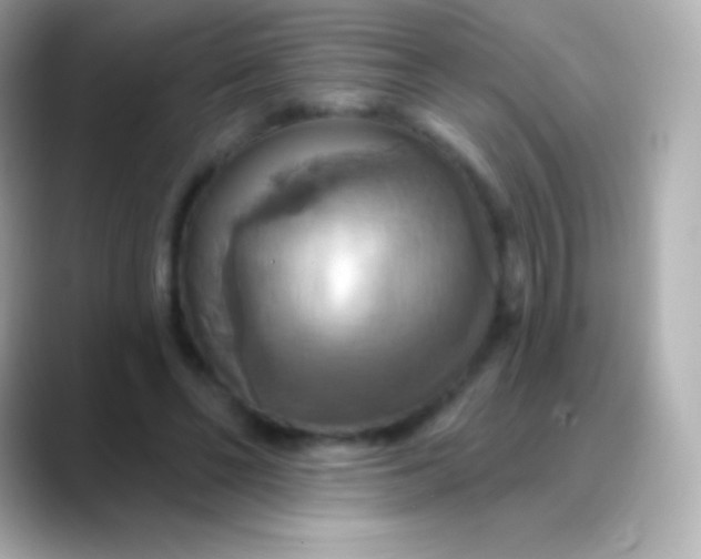 X0000088470494200706051345