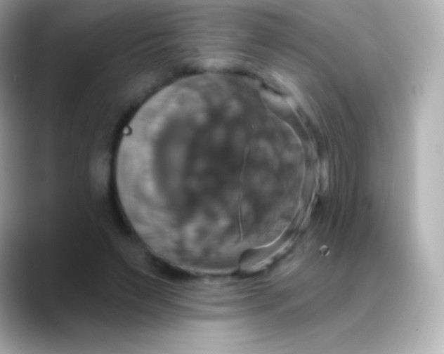 X0000088470495200706051345