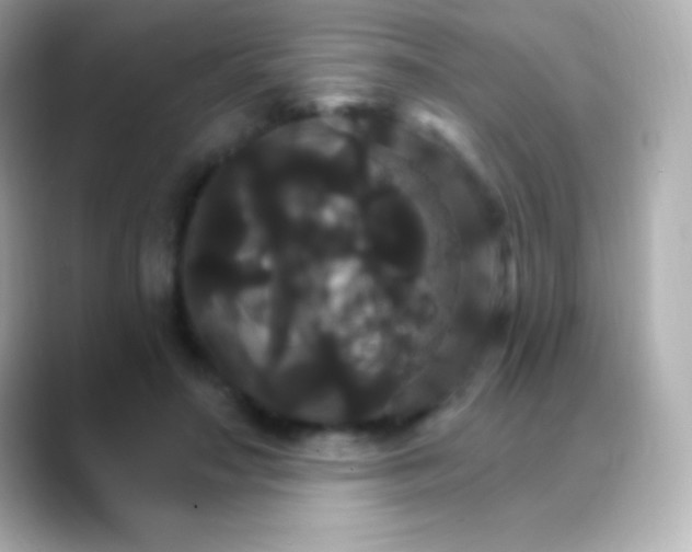 X0000088470499200706051345