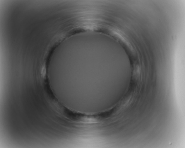 X0000088470502200706051345