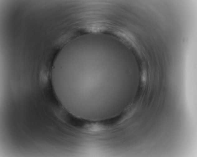 X0000088470503200706051345