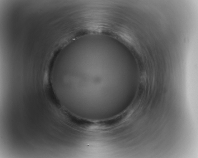 X0000088470504200706051345