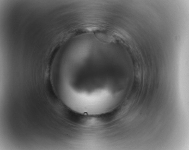 X0000088470507200706051345