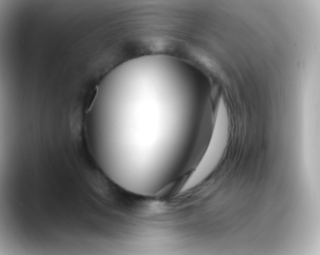 X0000088470509200706051345