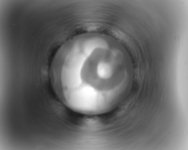 X0000088470510200706051345