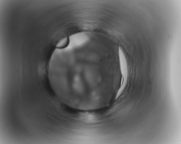 X0000088470511200706051345