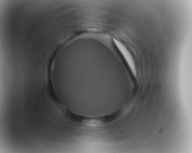 X0000088470512200706051345