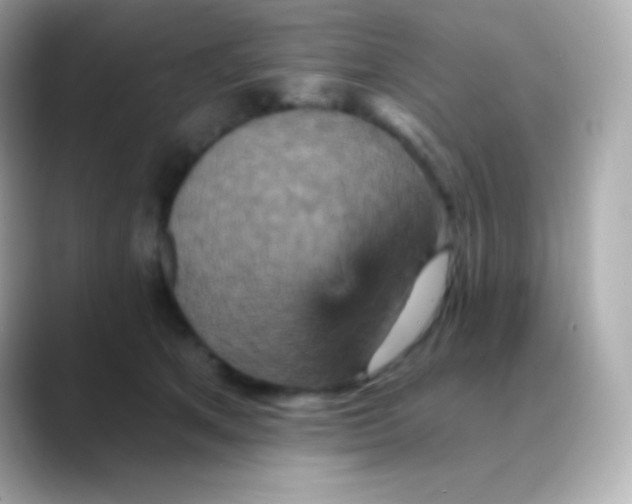 X0000088470513200706051345