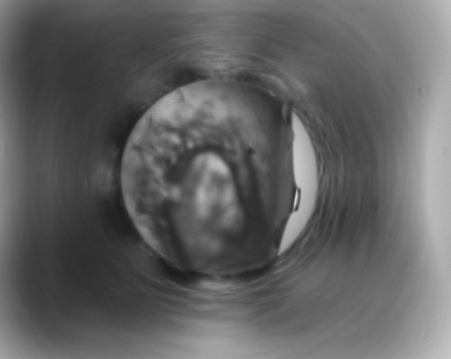 X0000088470515200706051345