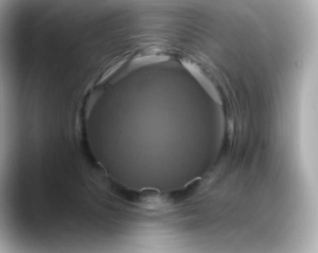 X0000088470516200706051345