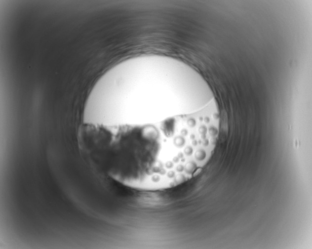 X0000088470519200706051345