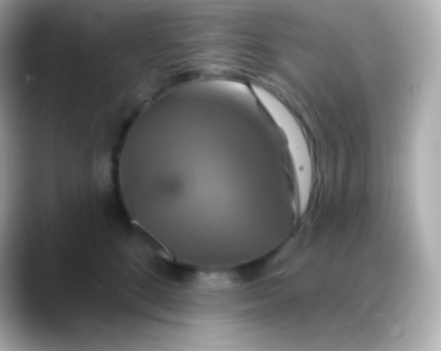 X0000088470520200706051345