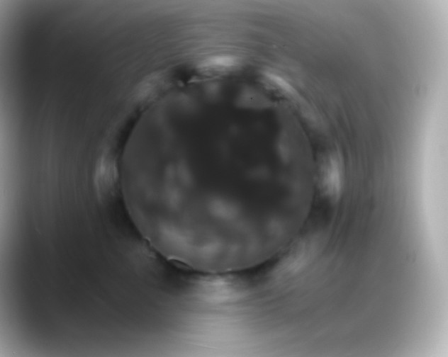 X0000088470523200706051345