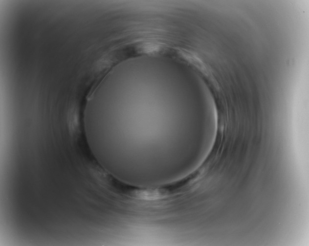 X0000088470524200706051345