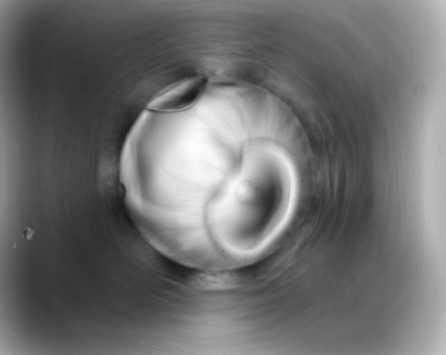 X0000088470526200706051345