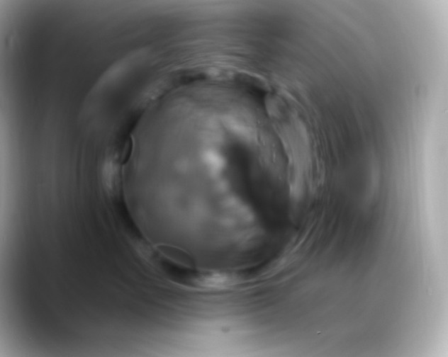 X0000088470527200706051345