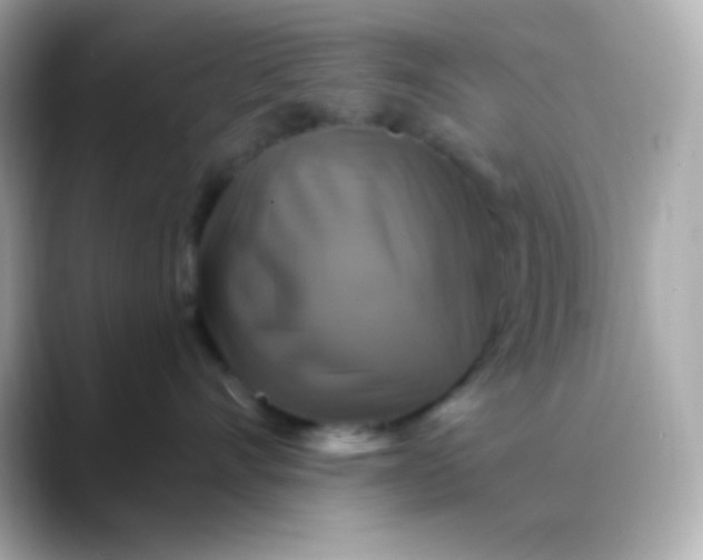 X0000088470528200706051345