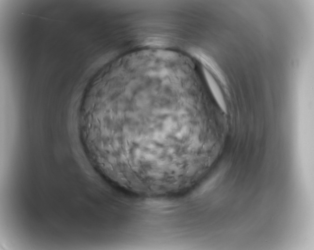 X0000088470529200706051344