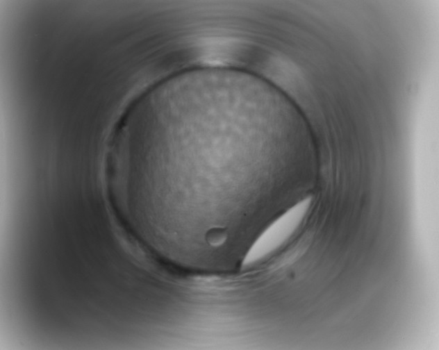 X0000088470530200706051344