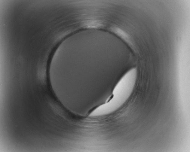 X0000088470531200706051344