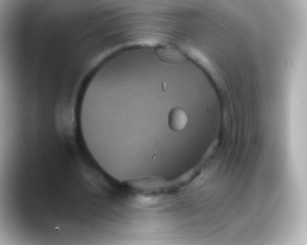 X0000088470532200706051344