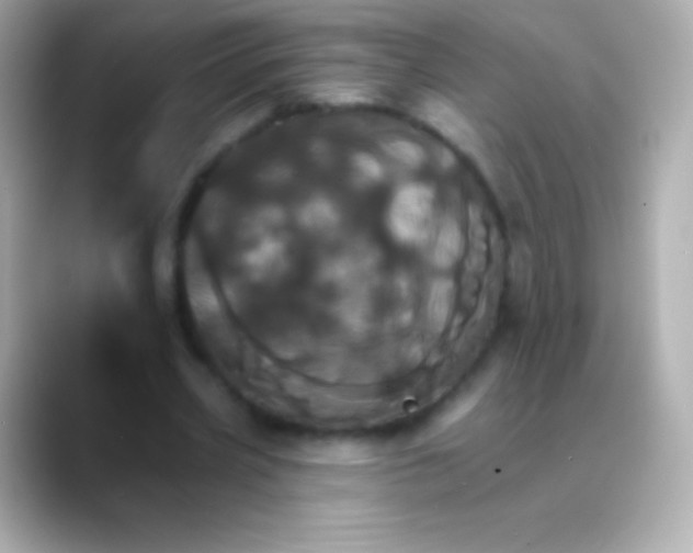 X0000088470533200706051344