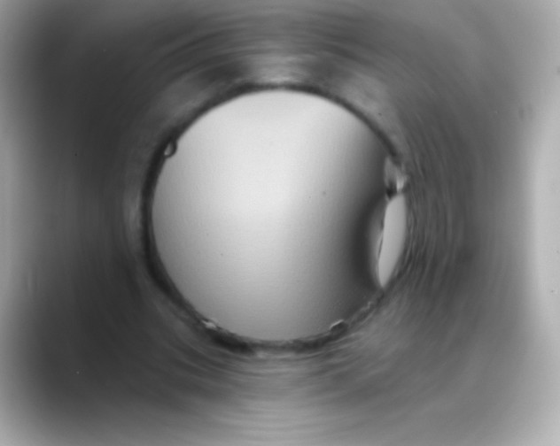 X0000088470535200706051344