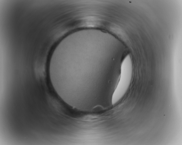 X0000088470536200706051344