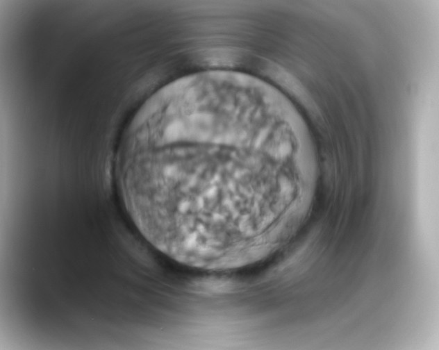 X0000088470537200706051344